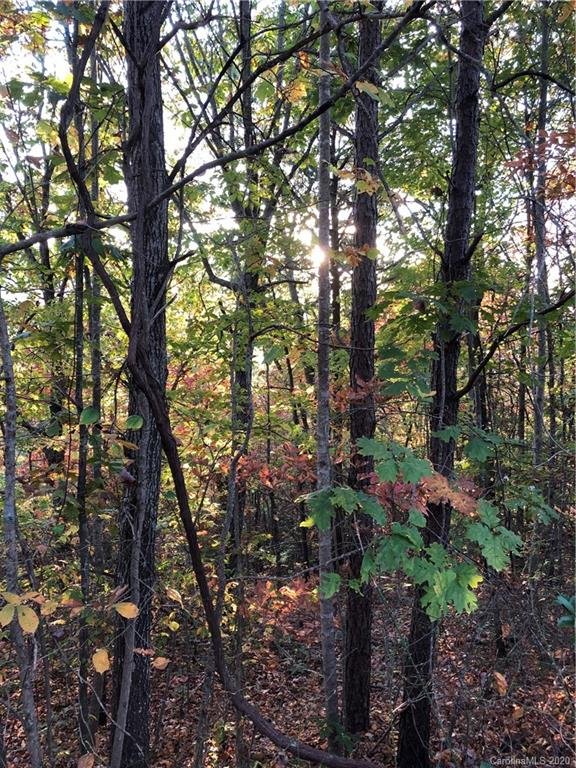 Property image 2 at 67 Timber Park Drive Road, Black Mountain, NC 28711