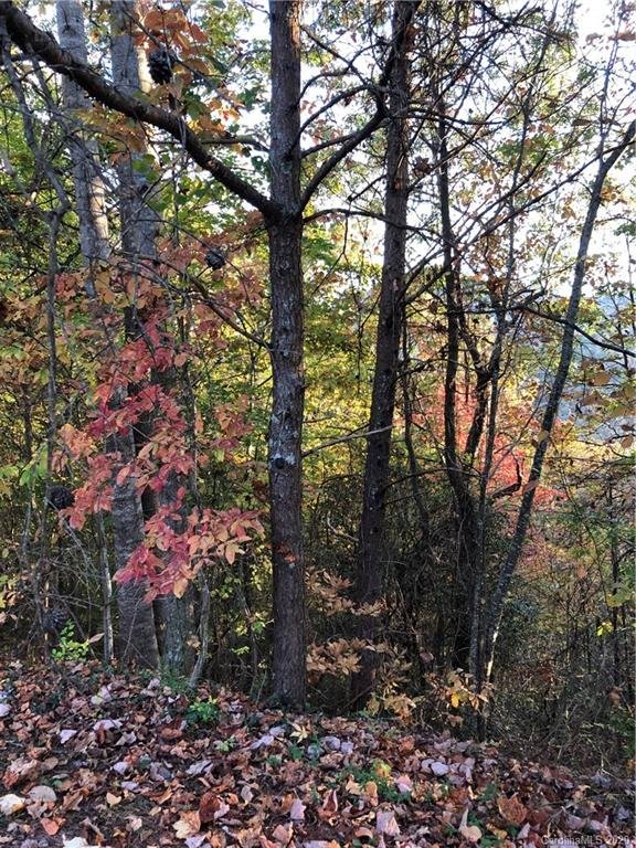 Property image 3 at 67 Timber Park Drive Road, Black Mountain, NC 28711