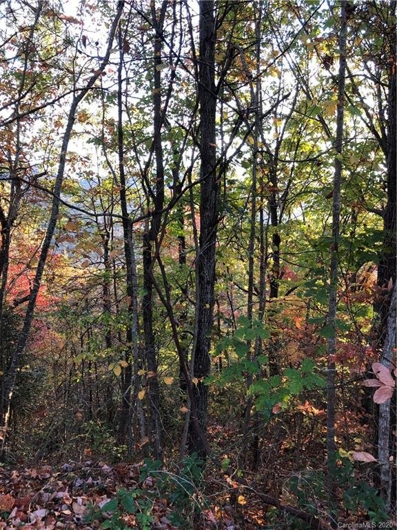 Property image 4 at 67 Timber Park Drive Road, Black Mountain, NC 28711