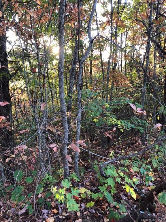 Property image 5 at 67 Timber Park Drive Road, Black Mountain, NC 28711