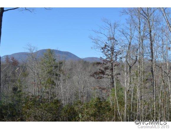 Property image 3 at 40 James Walker Lane, Landrum, SC 29356