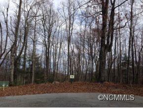 151 Brown Bear Ridge Trail