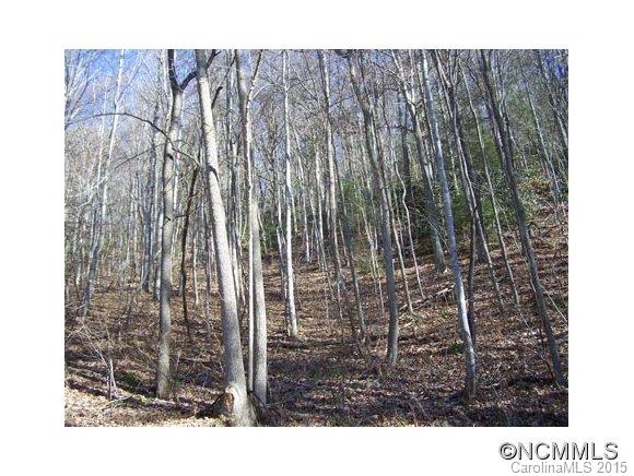 Property image 3 at Lot 100 Whispering Woods Path, Mars Hill, NC 28754