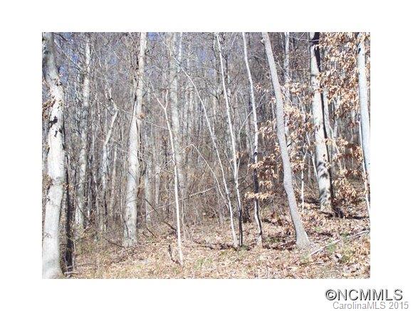 Property image 4 at Lot 100 Whispering Woods Path, Mars Hill, NC 28754