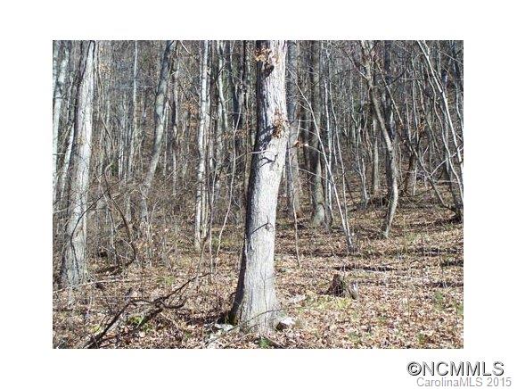 Property image 5 at Lot 100 Whispering Woods Path, Mars Hill, NC 28754