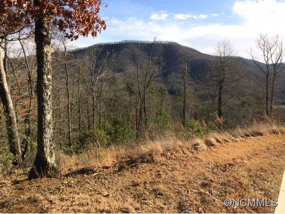 Property image 2 at 0 Watershed Way, Mills River, NC 28795