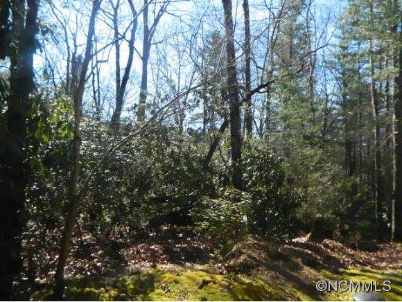 Property image 2 at 532 Timberlane Drive, Pisgah Forest, NC 28768