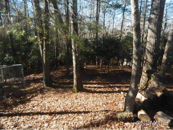 Property image 5 at 532 Timberlane Drive, Pisgah Forest, NC 28768