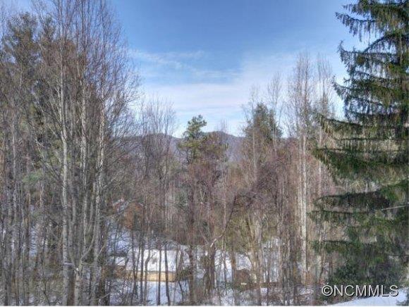 Property image 2 at 481 Chestnut Walk, Waynesville, NC 28786