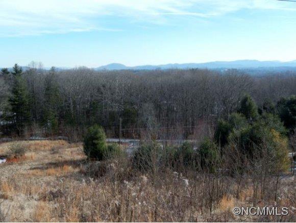 Property image 2 at 61 Waightstill Drive, Arden, NC 28704