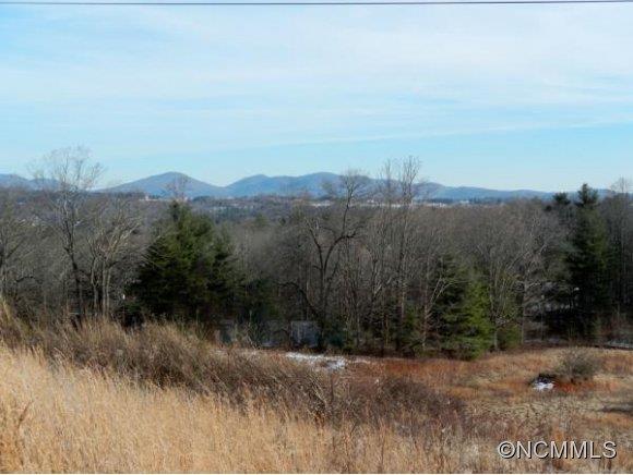 Property image 3 at 61 Waightstill Drive, Arden, NC 28704