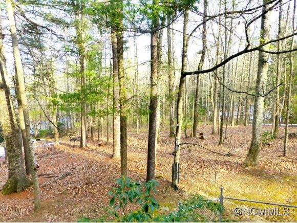 Property image 4 at 159 Skyline Drive, Hendersonville, NC 28791