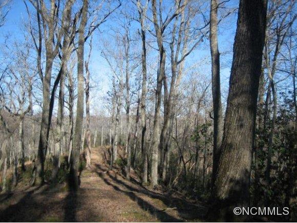 Property image 2 at 45 S Running Deer Trl Lot 81, Mills River, NC 28759