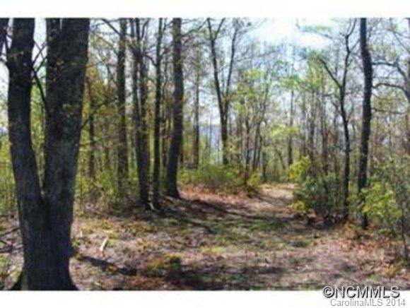 Property image 2 at Lot 14 Songbird Court, Hendersonville, NC 28792