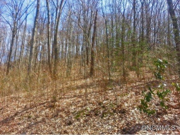 Property image 3 at 00 Balsam Meadows Road, Waynesville, NC 28786