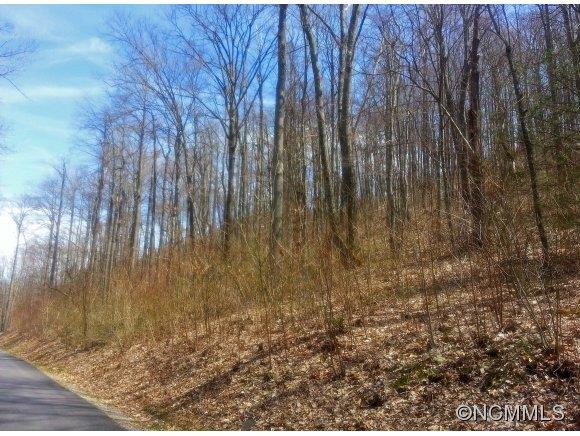 Property image 4 at 00 Balsam Meadows Road, Waynesville, NC 28786
