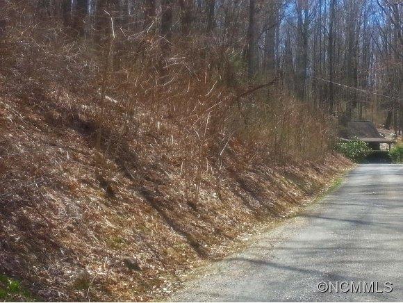 Property image 5 at 00 Balsam Meadows Road, Waynesville, NC 28786