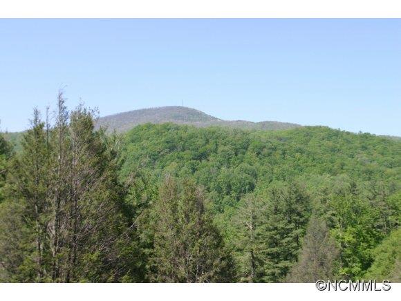 Property image 3 at 45 Thomasville Lane, Gerton, NC 28735