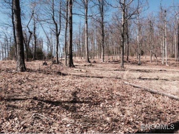 Property image 3 at 0 Pinnacle Mtn Rd, Zirconia, NC 28790