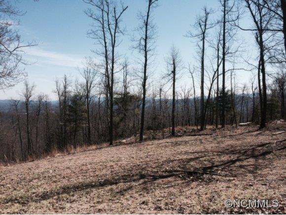 Property image 4 at 0 Pinnacle Mtn Rd, Zirconia, NC 28790