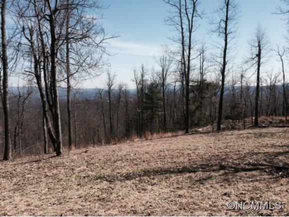 Property image 5 at 0 Pinnacle Mtn Rd, Zirconia, NC 28790