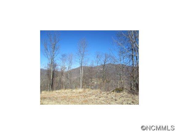 Property image 2 at 0 Rock Springs Road, Bakersville, NC 28705