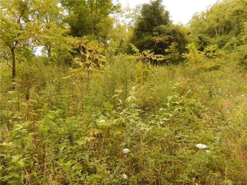 Property image 2 at 121 Blake Drive, Canton, NC 28716