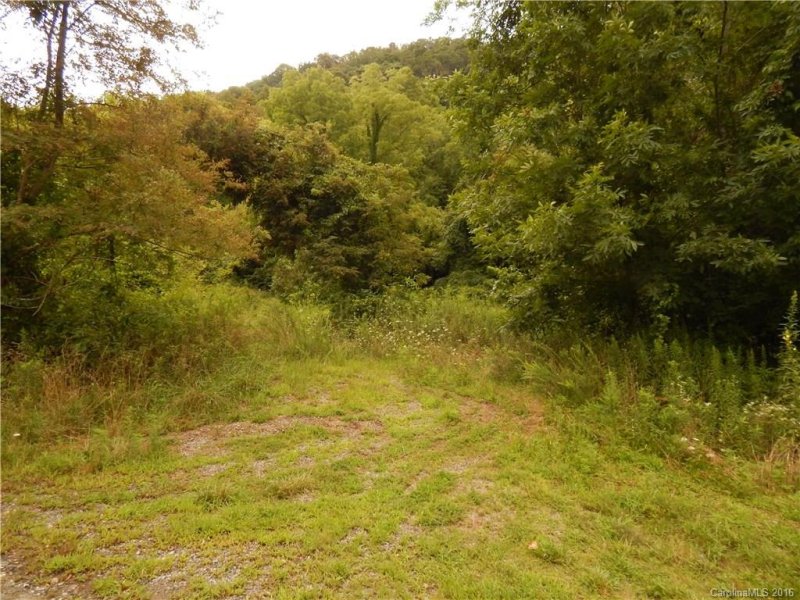 Property image 3 at 121 Blake Drive, Canton, NC 28716