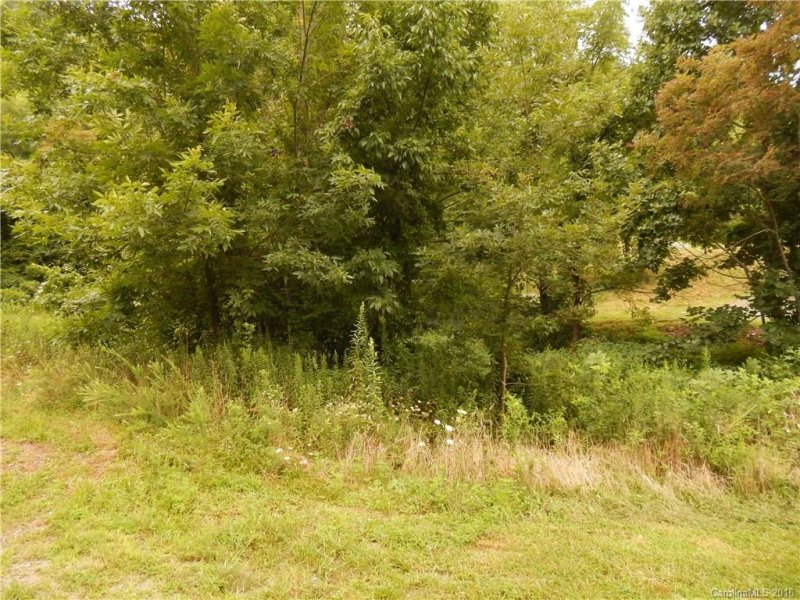 Property image 4 at 121 Blake Drive, Canton, NC 28716