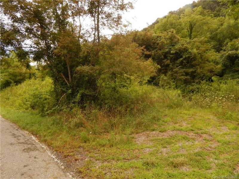 Property image 5 at 121 Blake Drive, Canton, NC 28716