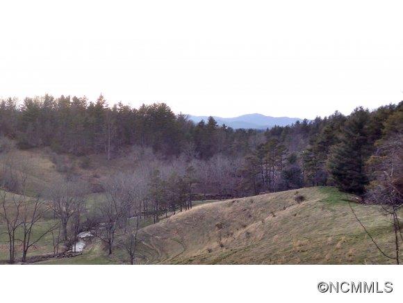 Property image 5 at 9 Partridge Lane, Weaverville, NC 28787