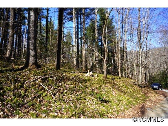 Property image 2 at L306a Lynn Crest Drive, Brevard, NC 28712