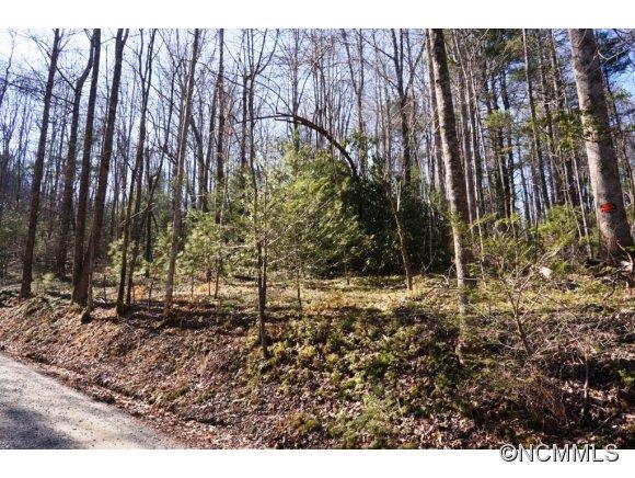 Property image 4 at L306a Lynn Crest Drive, Brevard, NC 28712