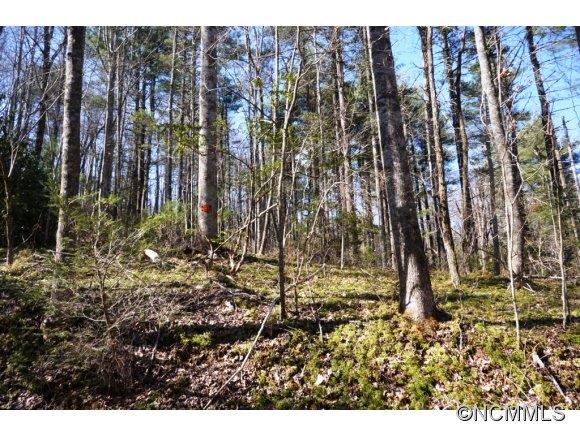 Property image 5 at L306a Lynn Crest Drive, Brevard, NC 28712