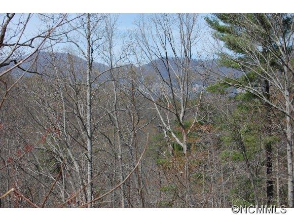 Property image 2 at Lot 47 Clear Creek Trail, Lake Lure, NC 28746