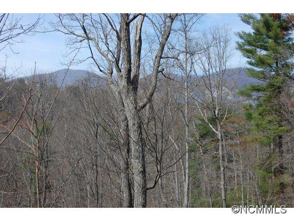 Property image 3 at Lot 47 Clear Creek Trail, Lake Lure, NC 28746