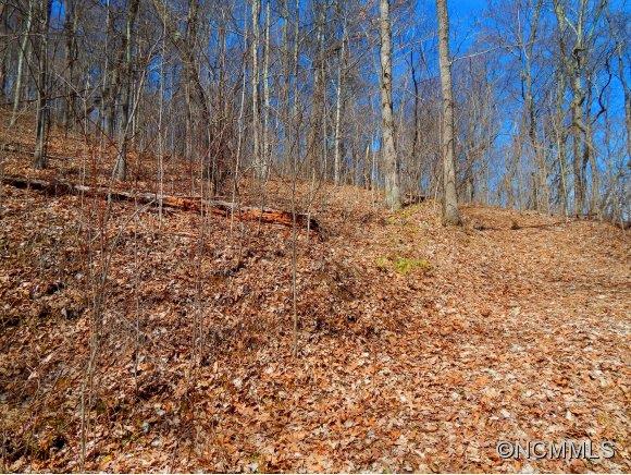 Property image 2 at 1418 Cobblestone Drive, Waynesville, NC 28786