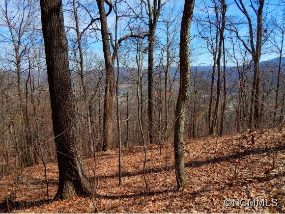 Property image 3 at 1418 Cobblestone Drive, Waynesville, NC 28786