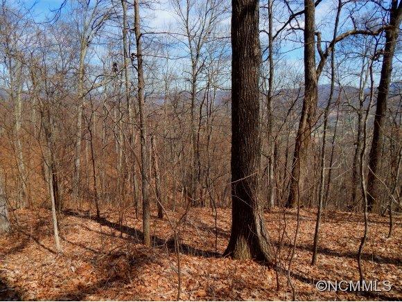 Property image 4 at 1418 Cobblestone Drive, Waynesville, NC 28786