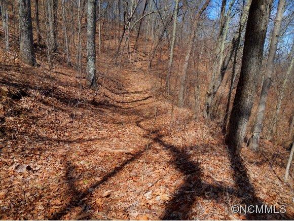 Property image 5 at 1418 Cobblestone Drive, Waynesville, NC 28786