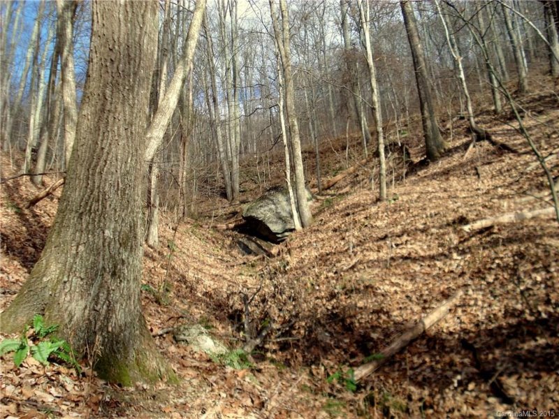 Property image 5 at Lot 51 Deerfield Drive, Hot Springs, NC 28743