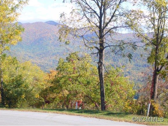 Property image 3 at 00 Longstreet Court, Weaverville, NC 28787
