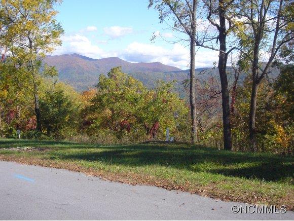 Property image 3 at 00 Longstreet Court, Weaverville, NC 28787