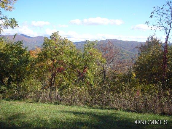 Property image 4 at 00 Longstreet Court, Weaverville, NC 28787