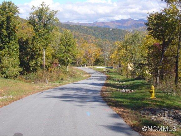 Property image 5 at 00 Longstreet Court, Weaverville, NC 28787