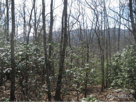 Property image 2 at 258 Winding Ridge Road, Black Mountain, NC 28711