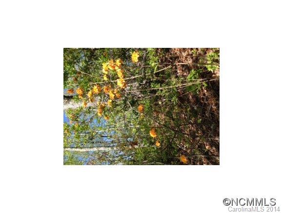 Property image 4 at 258 Winding Ridge Road, Black Mountain, NC 28711