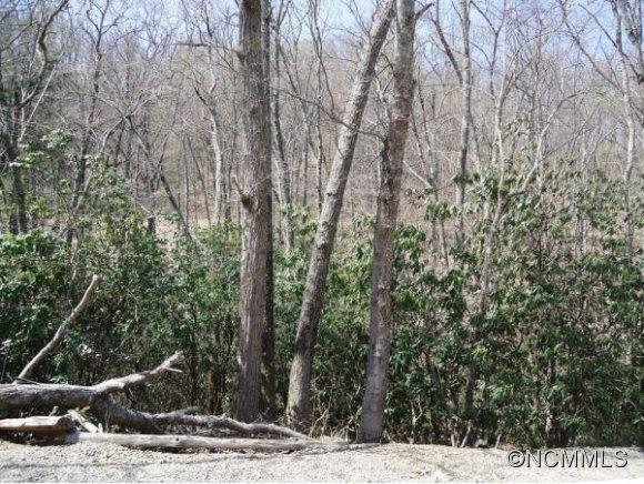 Property image 2 at 27 Rhododendron Road, Black Mountain, NC 28711