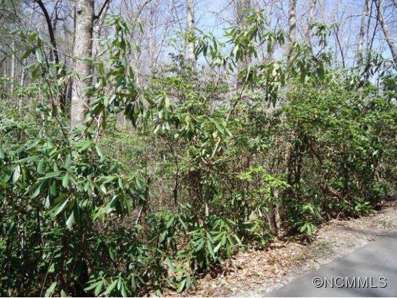 Property image 3 at 27 Rhododendron Road, Black Mountain, NC 28711