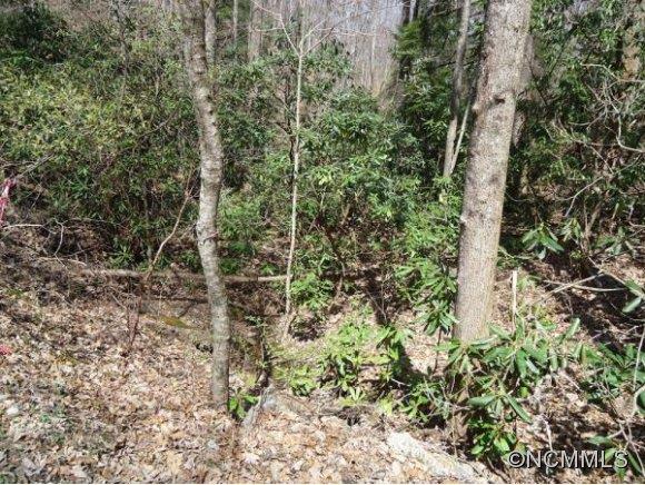 Property image 4 at 27 Rhododendron Road, Black Mountain, NC 28711